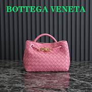 Bottega Veneta Small Andiamo Pink 25x22x10.5cm  - 1