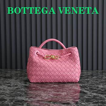 Bottega Veneta Small Andiamo Pink 25x22x10.5cm 