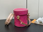 Louis Vuitton LV Astor Neon Pink 12 x 14.2 x 12 cm - 5