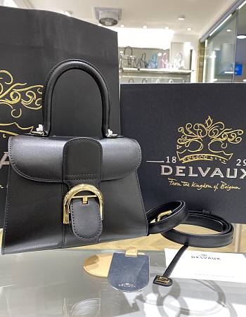 Delvaux Brillant Mini in Box Calf Black 20x12x15cm