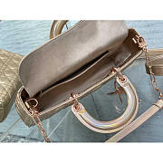 Dior Medium Lady D-joy Rose Gold Bag 26cm - 6