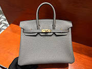 Hermes Birkin 25 Grey Togo Gold 25x20x13cm - 1