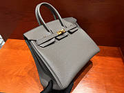 Hermes Birkin 25 Grey Togo Gold 25x20x13cm - 4