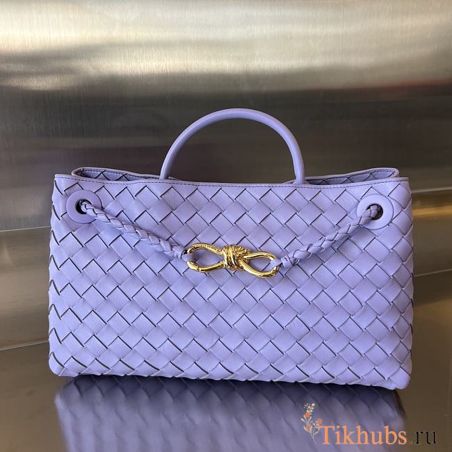 Bottega Veneta Small East/West Andiamo Purple 29x18x10cm - 1