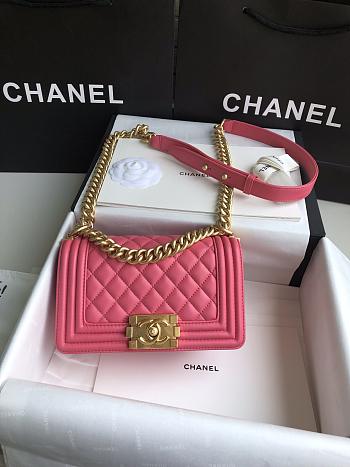 Chanel Leboy Bag Small Pink Lambskin Gold 20cm