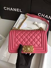 Chanel Leboy Bag Small Pink Lambskin Gold 20cm - 2