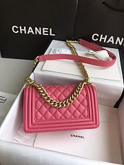 Chanel Leboy Bag Small Pink Lambskin Gold 20cm - 4