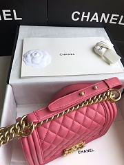 Chanel Leboy Bag Small Pink Lambskin Gold 20cm - 6