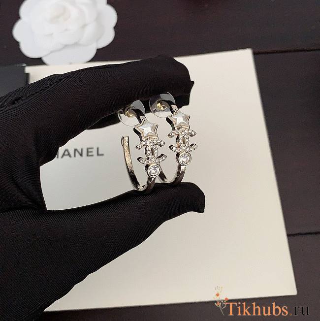 Chanel Earrings 29 - 1