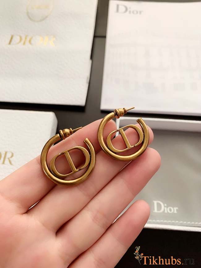 Dior Hoop Earrings - 1