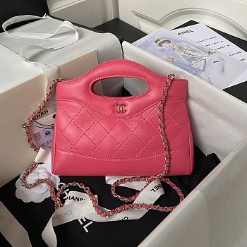 Chanel Nano 31 Pink Bag 20.5x17.5cm