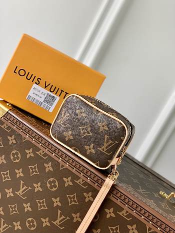 Louis Vuitton LV Wapity Case Bag Monogram 11x8x4cm