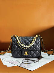 Chanel Mini Flap Bag Lustrous Lambskin Black Pearls 17x12.5x5cm - 1