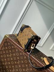 Louis Vuitton LV Side Trunk PM 18 x 12.5 x 8 cm - 5