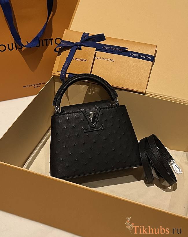 Louis Vuitton LV Capucines Mini Black Ostrich 21cm - 1