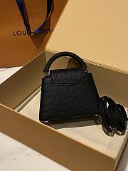 Louis Vuitton LV Capucines Mini Black Ostrich 21cm - 5