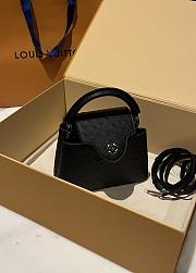 Louis Vuitton LV Capucines Mini Black Ostrich 21cm - 3