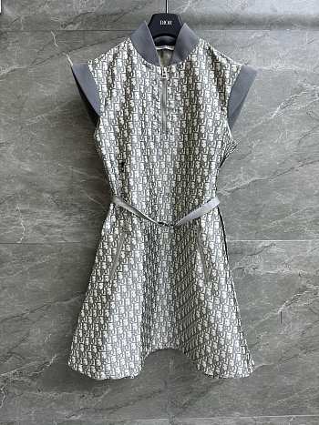 Dior Belted Dress Gray Technical