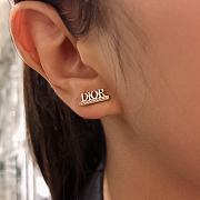 Dior Earrings  - 2