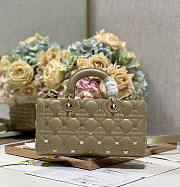 Dior Medium Lady D-joy Bag Beige Gold-Finish Butterfly Studs 26cm - 5
