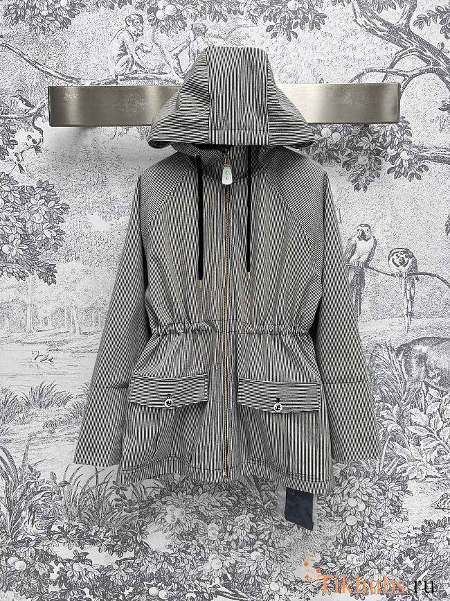 Louis Vuitton LV Striped Hooded Parka - 1