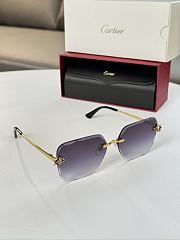 Cartier Sunglasses - 3