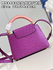 Louis Vuitton LV Mini Capucines Purple Ostrich 21x14x8cm - 2