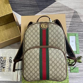 Gucci Ophidia GG Backpack Beige 40x28x15cm