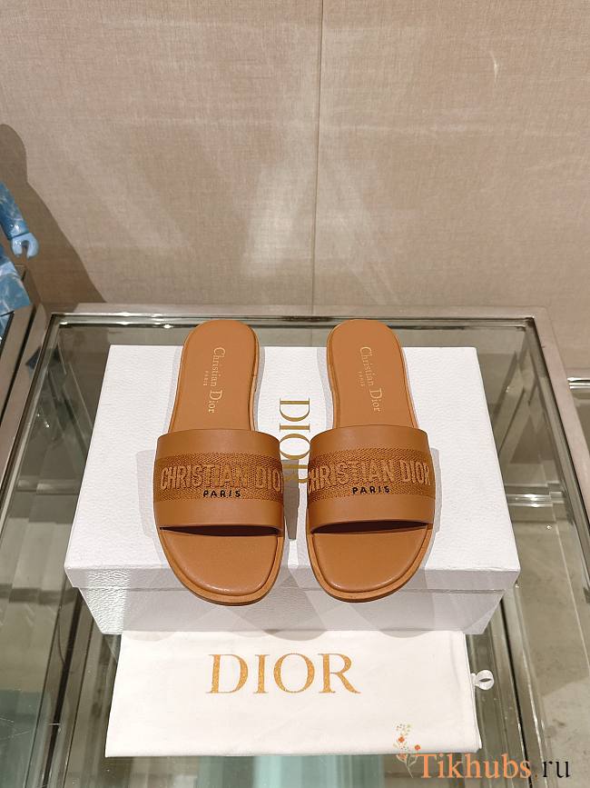 Dior Dway Slide Pastel Camel Calfskin - 1