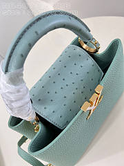 Louis Vuitton LV Capucines BB Sky Blue Leather Ostrich 27 x 18 x 9 cm - 5