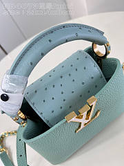 Louis Vuitton LV Mini Capucines Sky Blue Leather Ostrich 22cm - 3