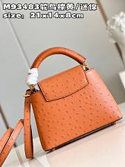 Louis Vuitton LV Mini Capucines Brown Ostrich 21x14x8cm - 4