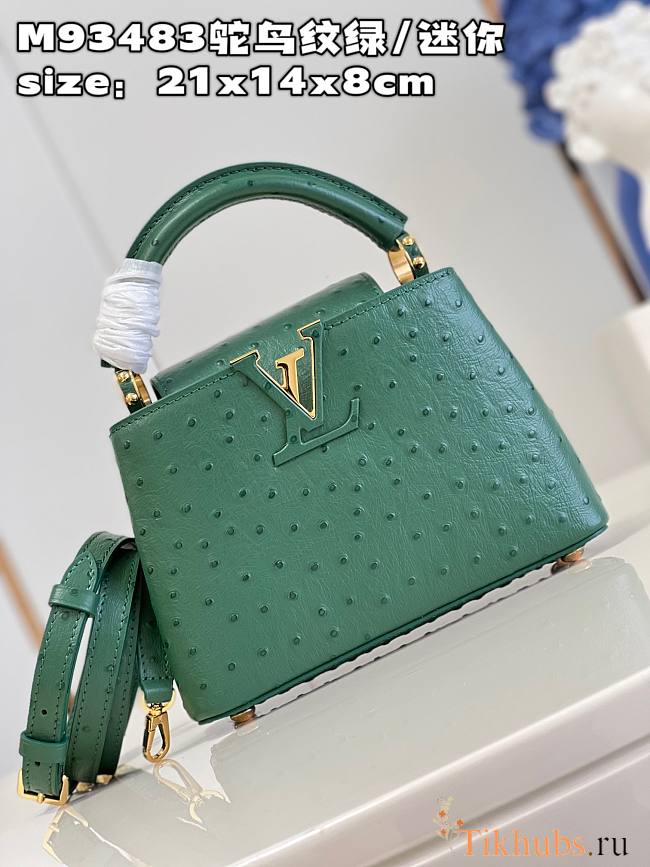 Louis Vuitton LV Mini Capucines Green Ostrich 21x14x8cm - 1