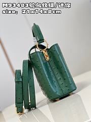 Louis Vuitton LV Mini Capucines Green Ostrich 21x14x8cm - 2