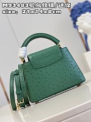 Louis Vuitton LV Mini Capucines Green Ostrich 21x14x8cm - 6