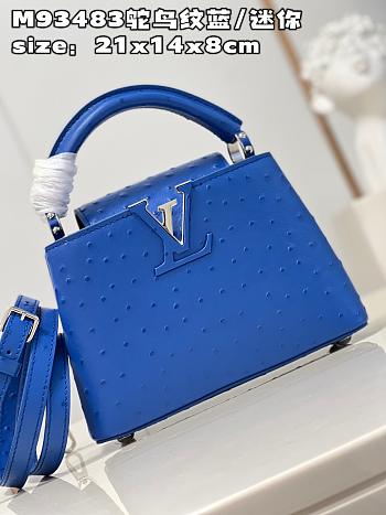 Louis Vuitton LV Mini Capucines Blue Ostrich 21x14x8cm