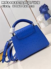 Louis Vuitton LV Mini Capucines Blue Ostrich 21x14x8cm - 6