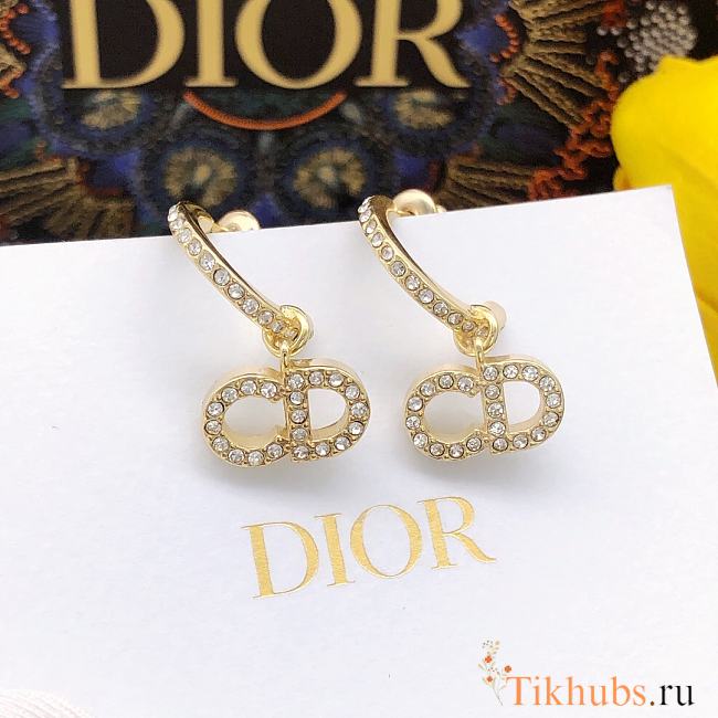 Dior Earrings 02 - 1