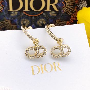 Dior Earrings 02