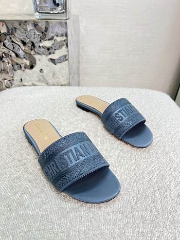 Dior Dway Slide Blue