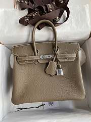 Hermes Birkin 25 Etoupe Silver Togo Bag 25cm - 1