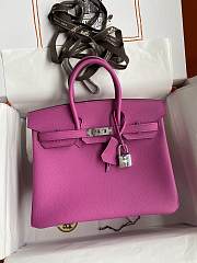 Hermes Birkin 25 Pink Silver Togo Bag 25cm - 1