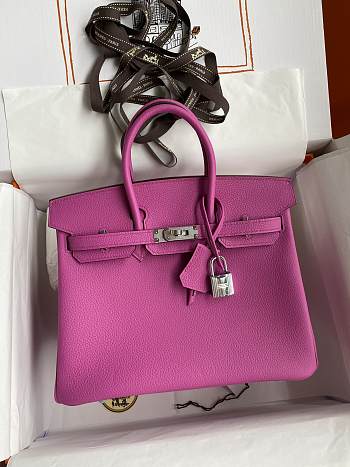 Hermes Birkin 25 Pink Silver Togo Bag 25cm