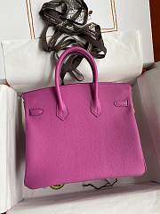 Hermes Birkin 25 Pink Silver Togo Bag 25cm - 5