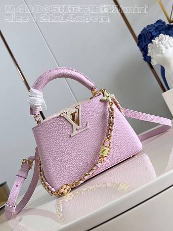 Louis Vuitton LV Mini Capucine Pink 21x14x8cm