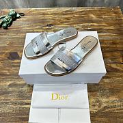 Dior Dway Slide Silver Calfskin - 1