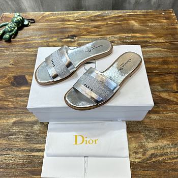 Dior Dway Slide Silver Calfskin