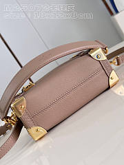 Louis Vuitton LV Side Trunk Bag PM Taupe 18 x 12.5 x 8 cm - 5