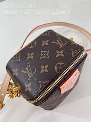 Louis Vuitton LV Just In Case Monogram Brown 13 x 14 x 11.5 cm - 6