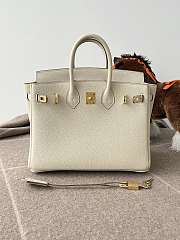 Hermes Birkin 25 Bag White Gold Togo 25cm - 4